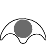 7R89_Moon phase-1-3